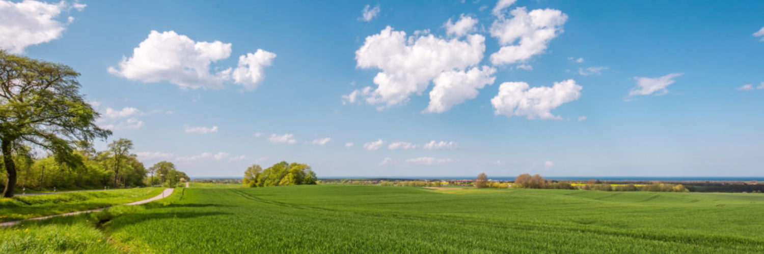 Blick von der Kühlung © Friederike Hegner