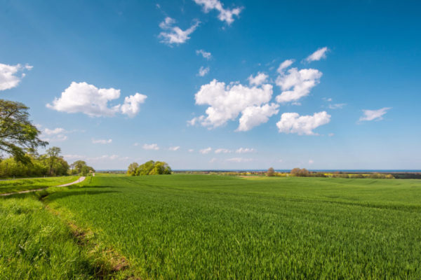 Blick von der Kühlung © Friederike Hegner