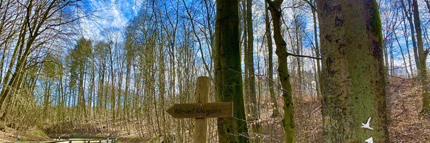 Wanderweg © Jasmin Fernholz (28)