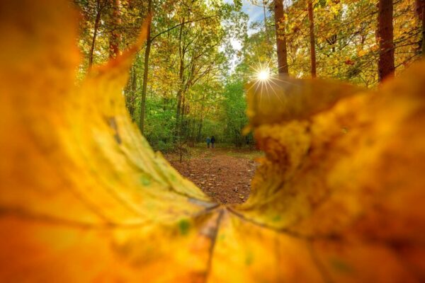 Natur erleben