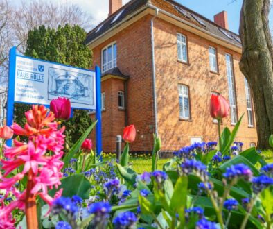 ©Jasmin Fernholz (623)