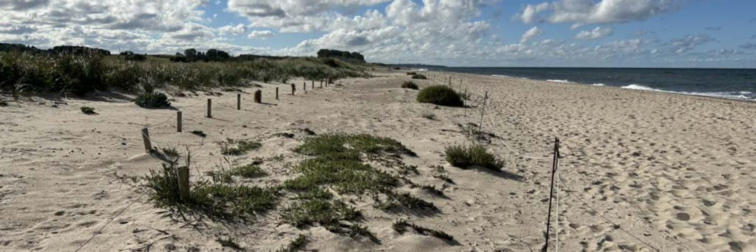 Strand, Schutz und Staunen – NABU Einsätze am Riedensee