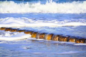©Jasmin Fernholz_2023 (54)