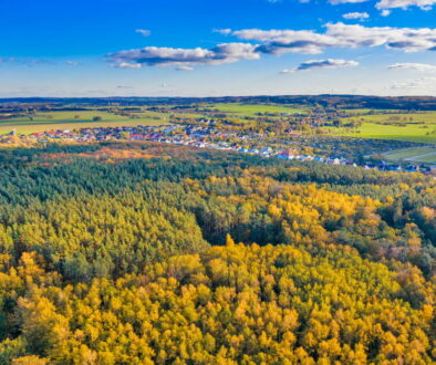 Markus Both – Revierförster im Stadtwald im Interview