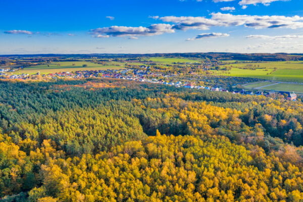 Markus Both – Revierförster im Stadtwald im Interview
