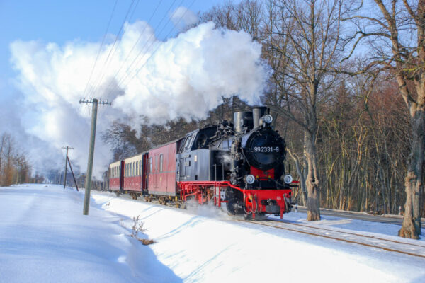 Mit dem Molli durch den Winter