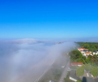 ©Jasmin Fernholz (833)