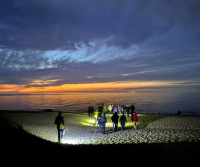 Natur hautnah erleben am Riedensee