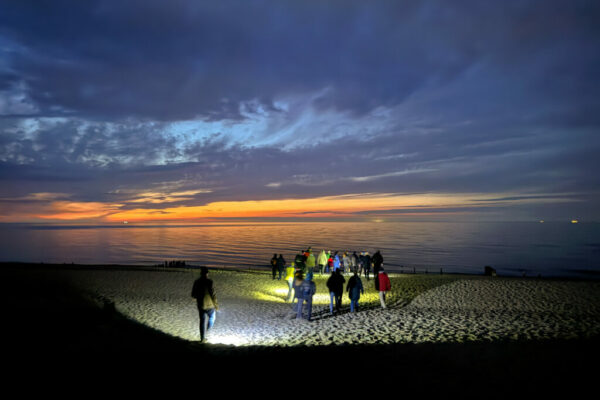 Natur hautnah erleben am Riedensee